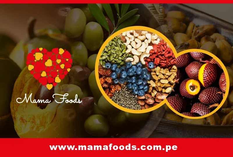 imgi_35_mamafoods.com_.pe-1